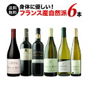 フランス自然派ワイン6本セット（赤ワイン3本・白ワイン3本） 第19弾 送料無料 「4/3更新」