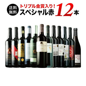 ※内容変更【送料無料】10周年記念特別セット!トリプル金賞入り 全て金賞受賞スペシャル赤ワイン12本セット 第2弾 送料無料 赤ワインセット【プレゼント対応可】【ギフト ワイン】【ソムリエ】【楽ギフ_のし】【お中元】