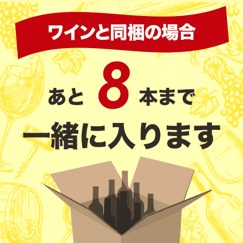 ビニクールワインクーラー ファンヴィーノ ワインクーラー【ワイングッズ】【ワイン ギフト】 2