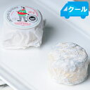 【クール便配送商品】※ワインと同梱できます。クロタン・ド・シャヴィニョル AOP【約60g】CROTTIN DE CHAVIGNOLフランス 【チーズ】（シェーヴルタイプ）【YDKG-t】 【RCP1209mara】