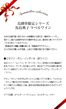 ギフトセット 島耕作35周年限定 馬島典子 ラベルワイン（コラゾン・デル・インディオ）赤ワイン 750ml【ギフト ワイン】【ギフト・プレゼント】【ソムリエ】【家飲み】【母の日】