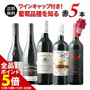 【全品ポイント5倍 ※〜7/31 23:59】 ワインセット 赤ワイン 送料無料 ワインキャップ付き!ブドウ品種を知る赤ワイン5本セット【ワイン ギフト ソムリ...