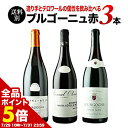 【全品ポイント5倍 ※〜7/31 23:59】 ワインセット 赤ワイン ブルゴーニュ赤ワイン3本セット 第29弾【ワイン ギフト ソムリエ厳選】