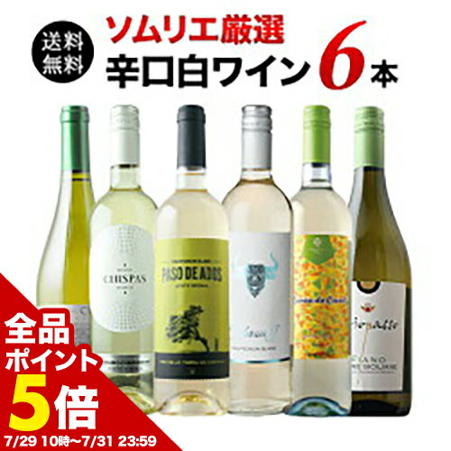  �S�i�|�C���g5�{ ���`7/31 23:59  ���C���Z�b�g �����C��   �h�������C��6�{�Z�b�g ��85�e ���C�� �M�t�g �\�����G���I 