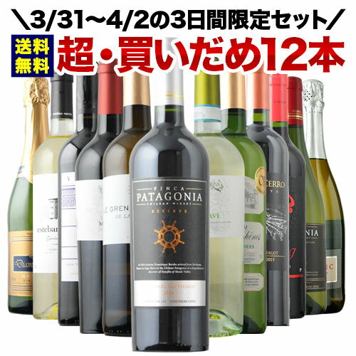【最大1500円クーポン有 ※4/2 23:59迄】ワインセット 送料無料 リニューアル休店直前！超・買いだめバラエティワイン12本セット（赤ワイン5・白ワイン5・スパークリングワイン2）【ワイン ギフト ソムリエ厳選】