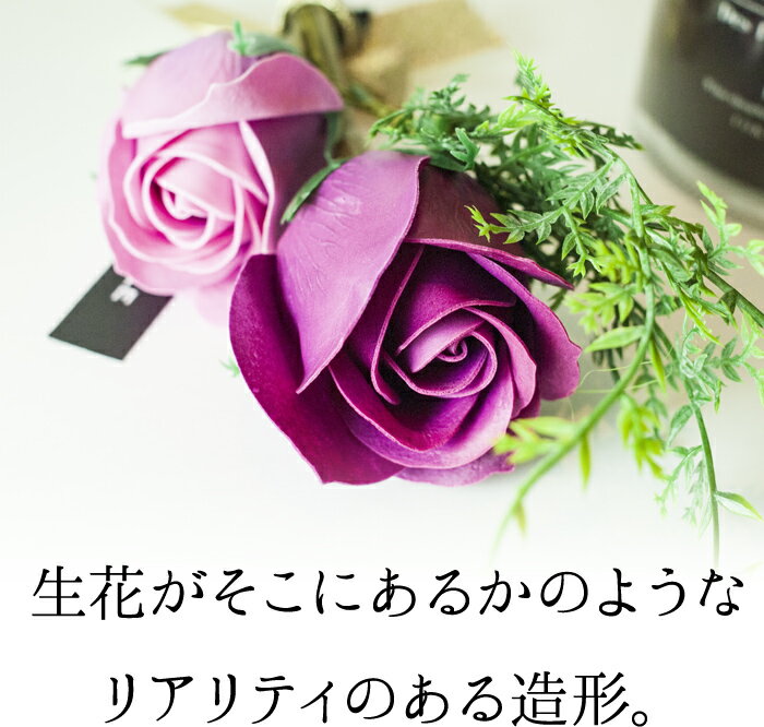 �֡������ɡ��Х� �Х��ե쥰��󥹡�GUIRLANDE���������� ����� ���å�