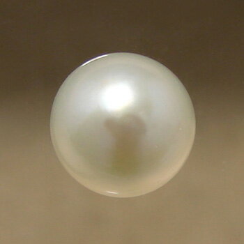 あこや本真珠 パールルース（シングル） 5.5-6.0mm BBB ラウンド （片穴があいています）（真珠 パールセミオーダー 加工用）