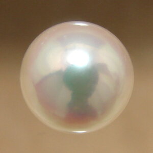 あこや本真珠 パールルース（シングル） ホワイト系 7.5-8.0mm AAB ラウンド （片穴があいています）[n3][4-416]（真珠 パールセミオーダー 加工用）
