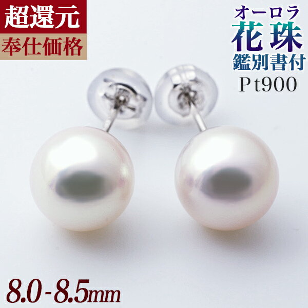 【超還元花珠ピアス】オーロラ花珠真珠 鑑別書付 パールピアス ホワイト系 8.0-8.5mm AAA Pt900 プラチナ [n3][hana-sale]（あこや真珠 ピアス スタッド冠婚葬祭 フォーマル プレゼント） 母の日 mdのサムネイル