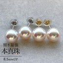 【花珠級のテリ】あこや真珠 パールピアス 8.5-9.0mm K18 / PT900 高品質 一粒 スタッドピアス 18金 プラチナ 大粒 冠婚葬祭 アコヤ 本...