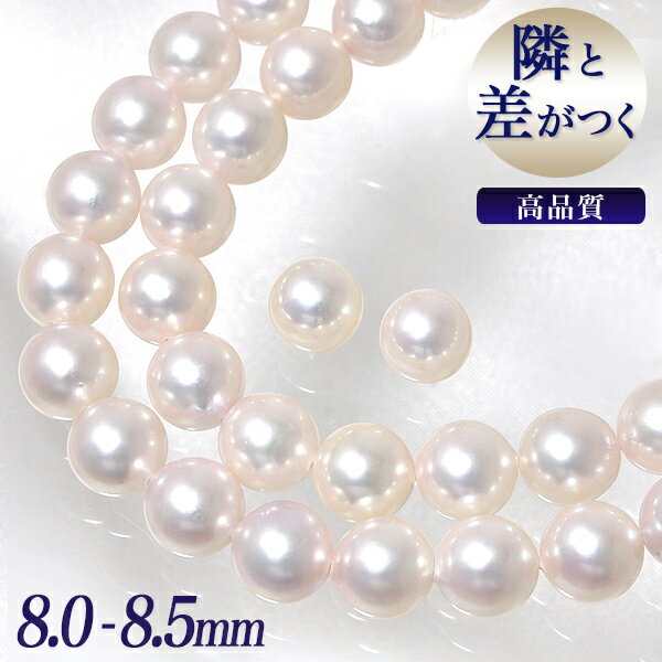 【即納】《隣と差がつく》 あこや真珠 パールネックレス＆ピアス 2点セット 8.0-8.5mm A〜BBB〜C 真珠ピアス イヤリング [n1][人気 ロングセラー]（真珠ネックレス パール アコヤ本真珠）（冠婚葬祭 フォーマル 入学式 卒業式 成人式）