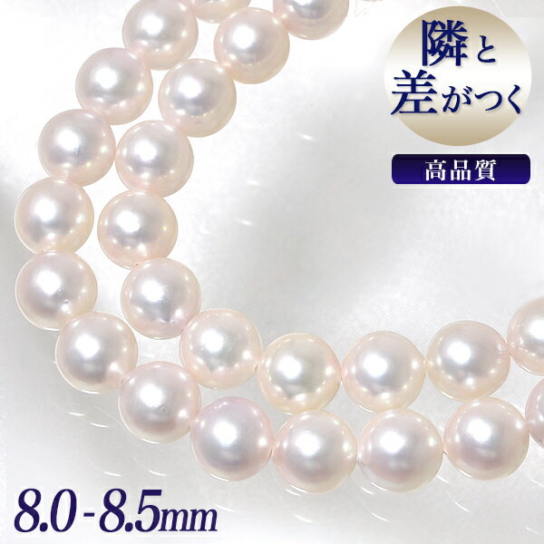 《隣と差がつく》 あこや真珠 パールネックレス ホワイト系 8.0-8.5mm A〜BBB〜C ラウンド〜セミラウンド [n2]（真珠 ネックレス冠婚葬祭 フォーマル 入学式 卒業式 成人式 ファーストパールに）