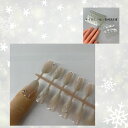 デザイン付き ベージュマグネットネイル(Nail-chip 05)