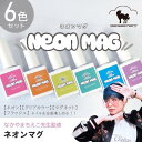 【なかやまちえこ先生監修!】NEON MAG ネオンマグ 全6色セット ケース付き