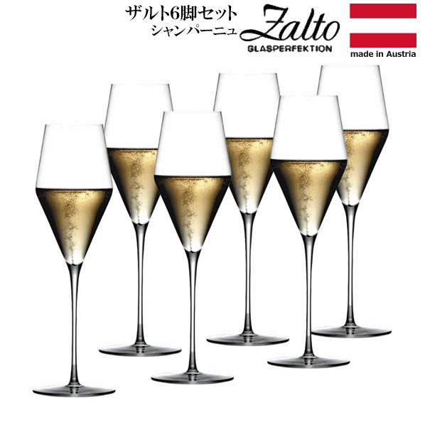 ̵_6ĥå  ѡ˥ ϥɥᥤ ե롼ȥ饹 ѥܥå ZaltoRCPۡڥ磻󥰥饹/ȥ...