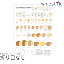 【送料無料】_DE LONG ポスター フランス チーズ 産地 サイズ 18x24cm 折り目なし【RCP】 沖縄/離島 不可