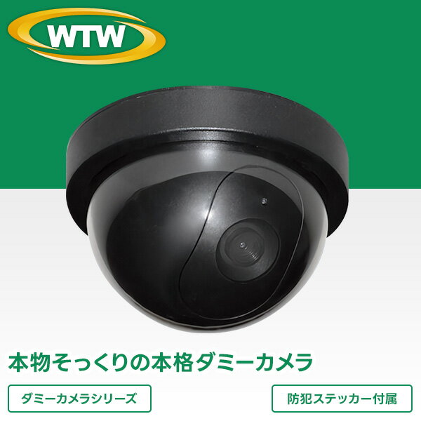 防犯 監視 ダミーカメラ WTW-DMD108