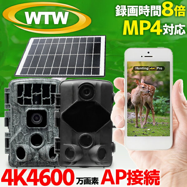 【4K 30fps AP接続 mp4】WTW 塚本無線 防犯カメラ トレイルカメラ ソーラー充電 長時間録画 MP4形式 乾電池 4K 4600万画素 遠隔監視 内蔵バッテリー 4K800万画素 30fps 屋外 電池式 車上荒らし SDカード 家庭用 簡単 設置 電源不要 監視カメラ 工事不要 録画機能付き