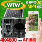 【4K 30fps AP接続 mp4】WTW 塚本無線 防犯カメラ トレイルカメラ ソーラー充電 長時間録画 MP4形式 乾電池 4K 4600万画素 遠隔監視 内蔵バッテリー 4K800万画素 30fps 屋外 電池式 車上荒らし SDカード 家庭用 簡単 設置 電源不要 監視カメラ 工事不要 録画機能付き