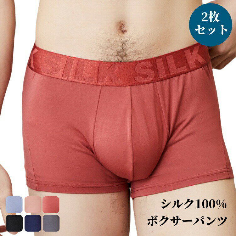 Rakuten - 2枚セット ショーツ シルク ボクサーパンツ 絹 メンズ 紳士 ゆったり 無地 抗菌 防臭 通気 涼しい 男性 ファッション パンツ 下着 肌着