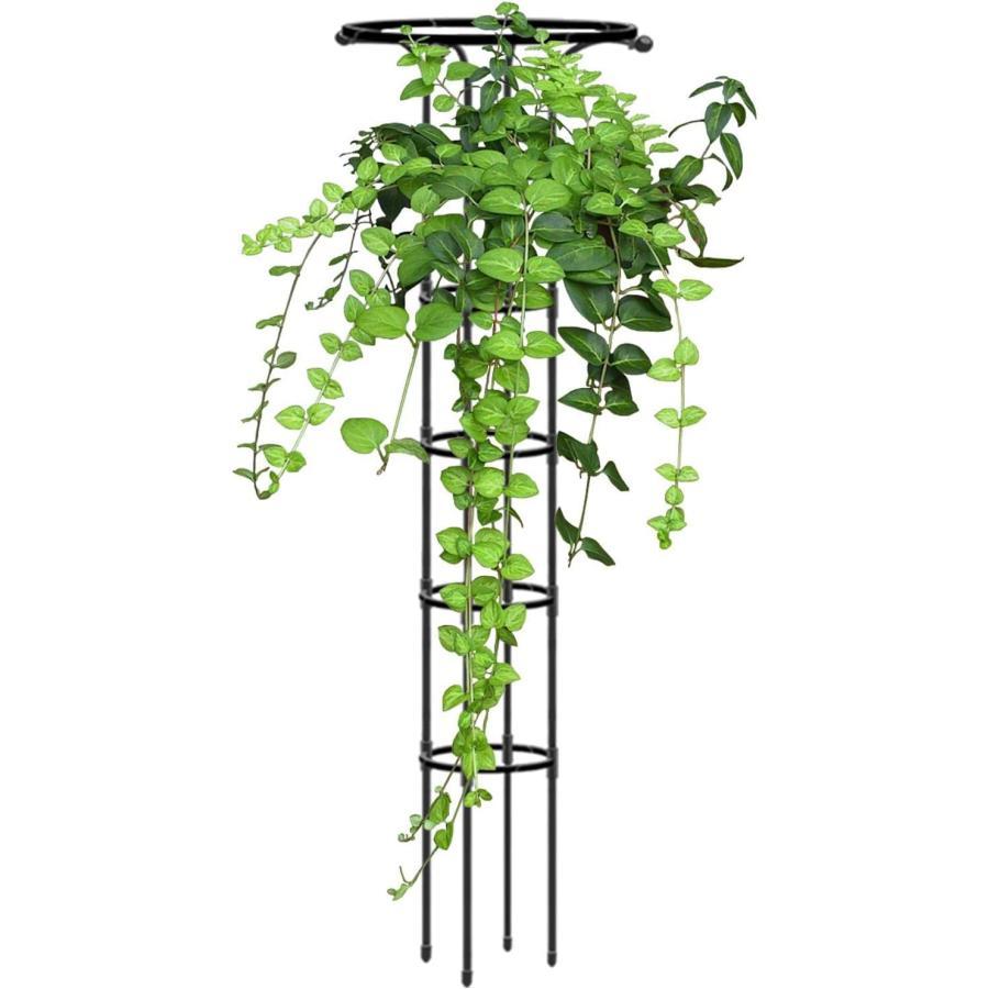 つる植物用トレリス ガーデントレリス つる植物用のタワーオベリスクガーデントレリス サークル傘型屋内トレリス 屋内ガーデントレリス