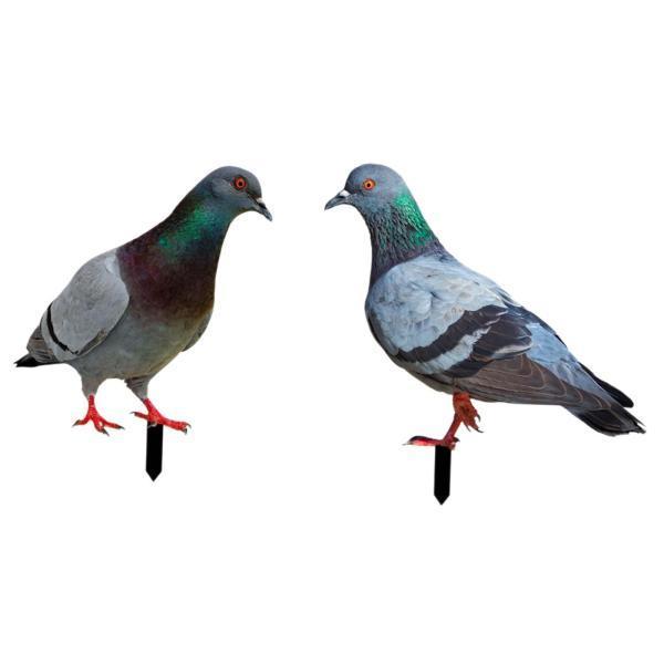 樂天商城 - 鳩の像 ガーデンステーク 2個、鳥の置物 地面挿入物、リアルな動物彫刻 庭のアート パティオ 芝生の装飾用