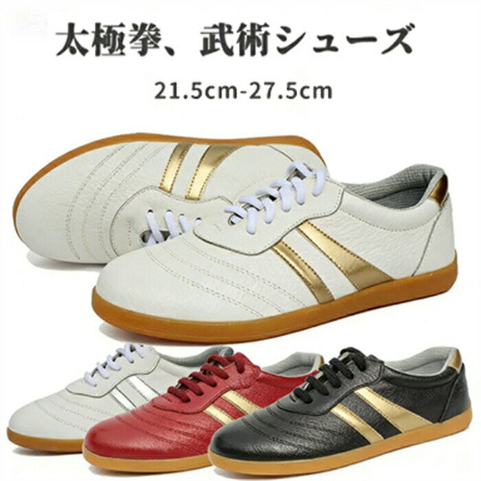 Shoes - 男女兼用 太極拳靴 太極拳シューズ 21.5cm〜27.5cm 大人用 子供用 牛革 スポーツスニーカー 柔らかい トレーニングシューズ 練功靴 履きやすい 武術教室 4色 朝練 スポーツシューズ