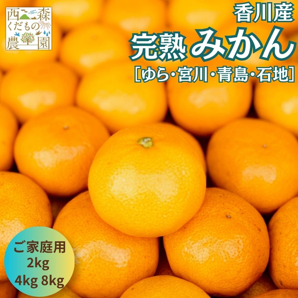 ＼早期発送／ 香川県産 温州みかん 2kg 4kg 8kg 送料無料【 旬の品種をお届け（ゆら早生 宮川早生 青島 石地）】高松…