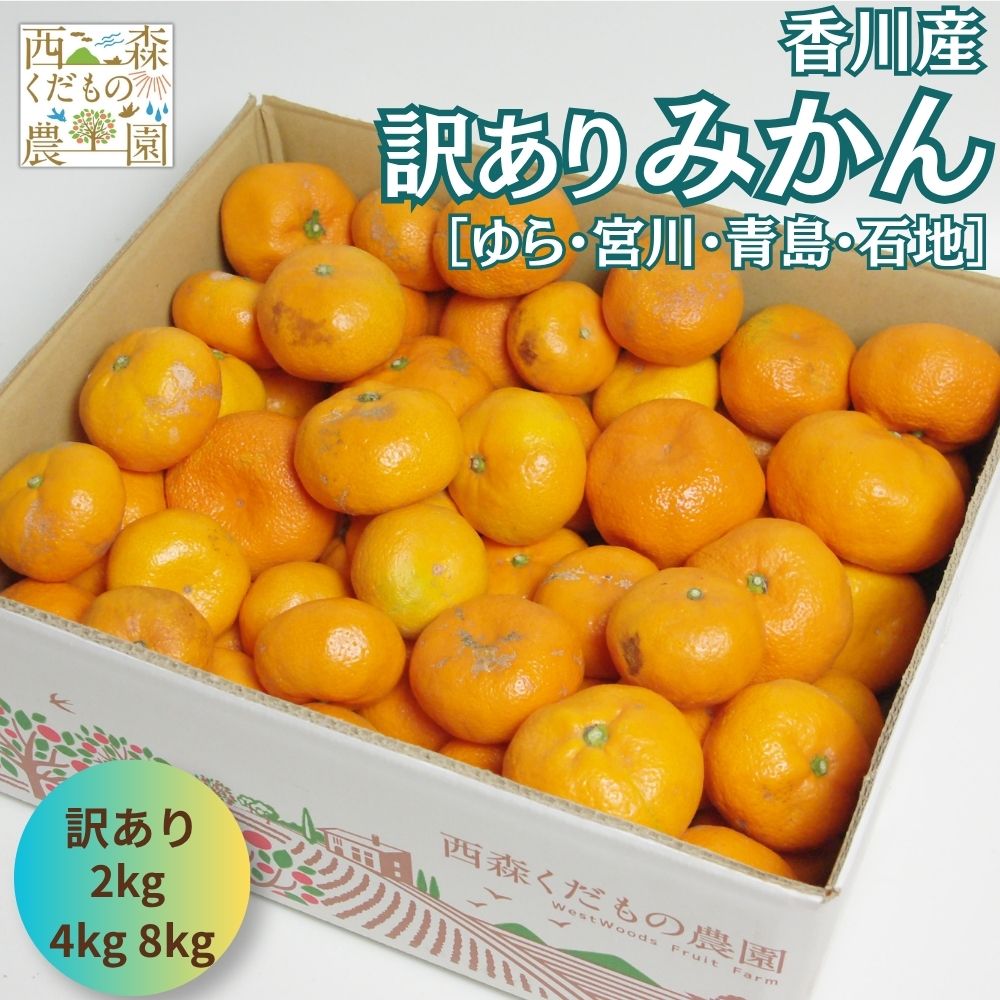 ＼早期発送／ 香川産 訳ありみかん 2kg 4kg 8kg 送料無料【 旬の品種をお届け（宮川早生 青島温州 ゆら早生 石地）】…