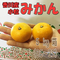 香川産みかん特選5kg箱【11月下旬より順次発送♪】(温州みかん産地直送)