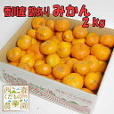 香川産 訳ありみかん2.5kg【家庭用・5kg箱〜10kg箱...