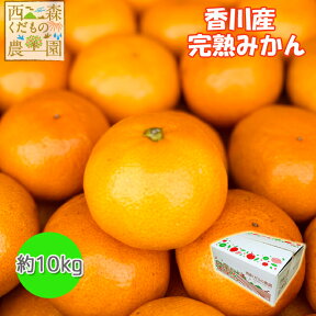 ＼もうすぐ終了！在庫少／香川産 みかん 10kg箱（箱込約10kg）［送料無料♪（北海道・沖縄除く）］（早期発送！宮川早生・青島）送料込 蜜柑 ミカン 温州みかん