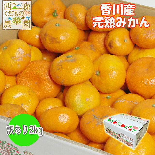 ＼早期発送・まとめ買いがお得！／香川産 訳ありみかん2kg～［2個以上送料無料（北海道・沖縄除く）♪］早期発送！宮川早生・青島　送料込 蜜柑 ミカン 温州みかん