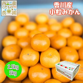 ＼早期発送／香川産 小玉みかん 2.5kg・5kg（箱込） 家庭用［送料無料♪（北海道・沖縄除く）］（宮川早生・青島・石地）送料込 蜜柑 ミカン 温州みかん