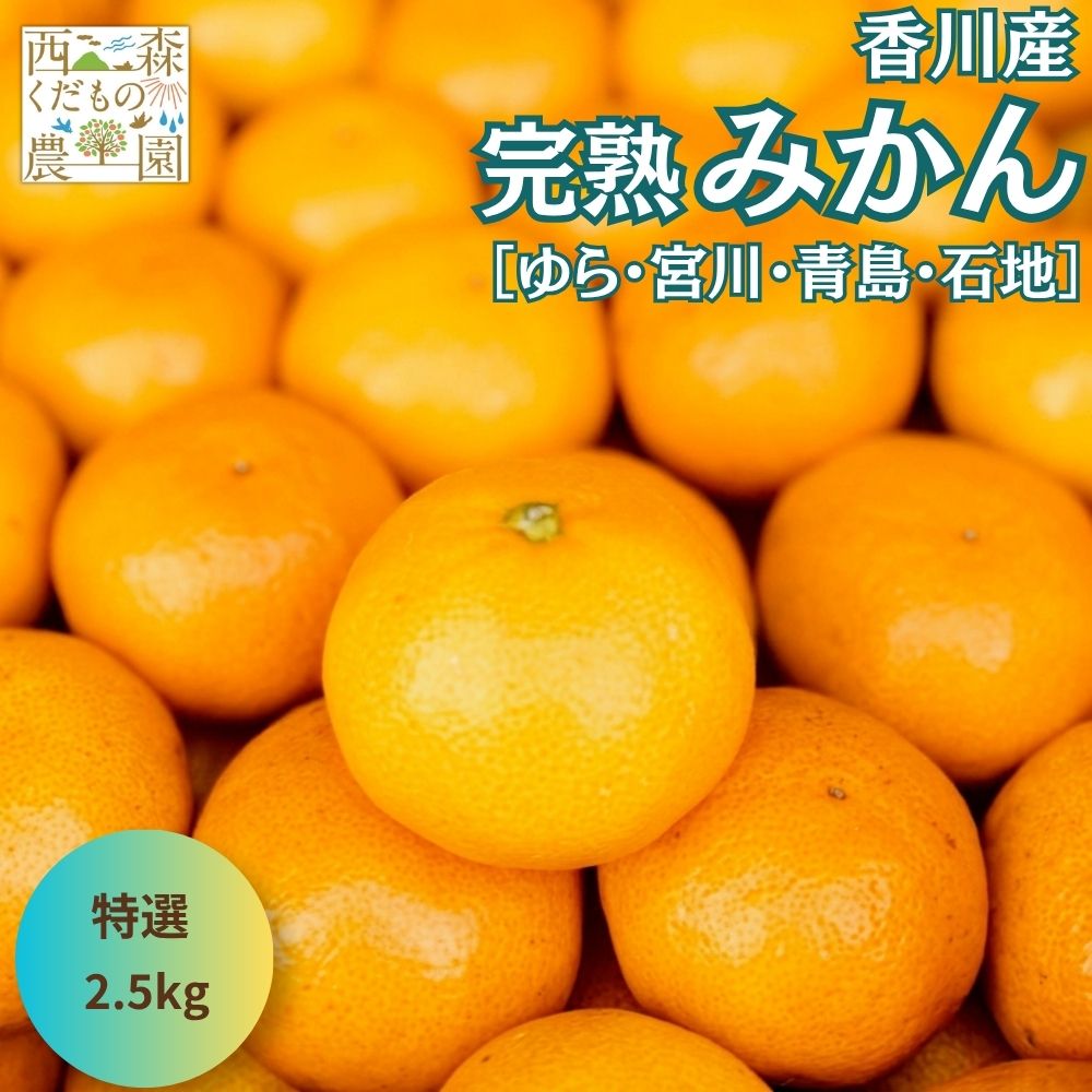 ＼早期発送／ 香川産 特選みかん 2.5kg 送料無料 旬の品種（ゆら早生 宮川 青島 石地） 高松産 贈答 お歳暮 濃厚 蜜…