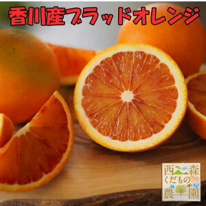 香川産 ブラッドオレンジ 2kg【訳あり・家庭用】 送料無料♪ 国産 オレンジ タロッコ