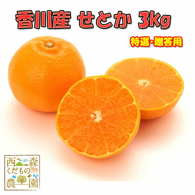 【予約3月下旬～】みかんの大トロ♪香川産 せとか 3kg［秀品・贈答用］ 送料無料♪ 西森くだもの農園 お取り寄せ 産地直送