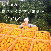 香川産みかん特選5kg箱【11月下旬より順次発送♪】(温州みかん産地直送)