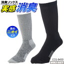 靴下 2足組 コーコス G-8430 消臭ソックス クルー丈 2P ニオイクリアEX 消臭 気になる足のニオイに GLADIATOR コーコス CCG-8430