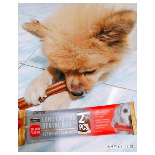 グディーズ ロングラスティング デンタルバー S サーモン(2本入×3セット)