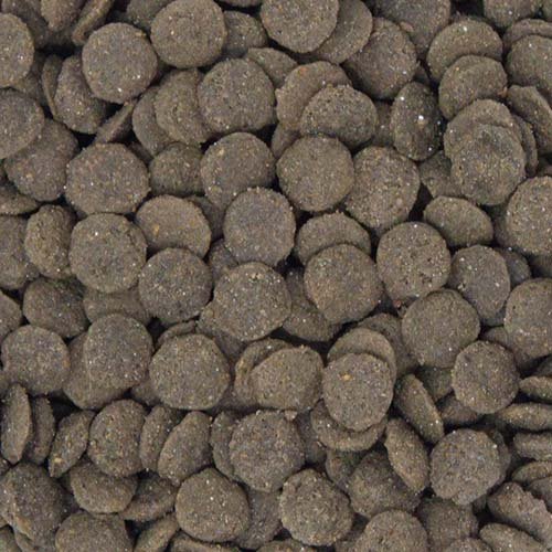 楽天24 どうぶつ医療館のベッツセレクション 腎ケア BPレーベル(400g*10袋セット)【ベッツセレクション】｜アングル2