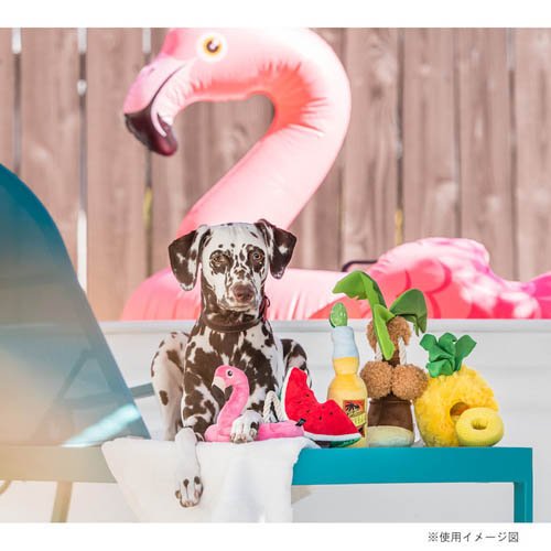 �ץ쥤 �ȥ��ԥ���ѥ������BOX���å�(2���å�)