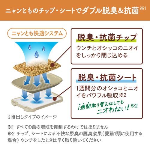 サンプル画像2