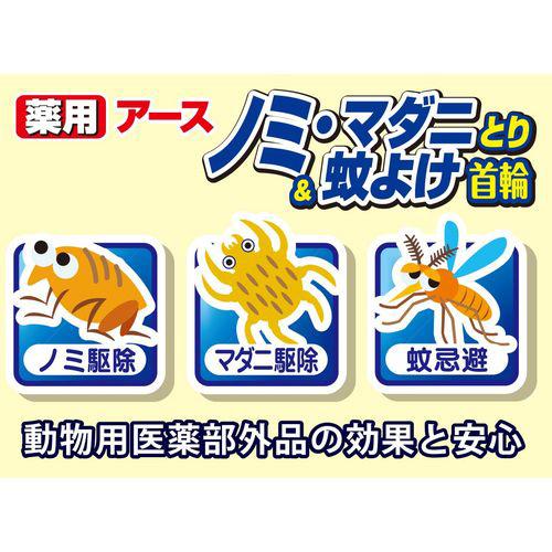 ������ ���ѥΥߥޥ��ˤȤ����褱���� ǭ�� �֥롼(1����)