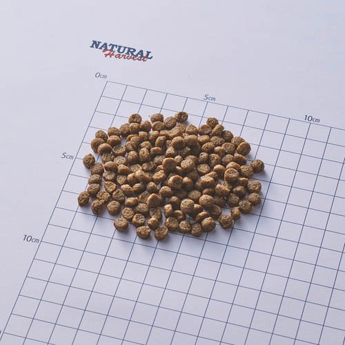 ���ɥ˥� ������ˡ��(6kg)�ڥʥ�����ϡ��٥��ȡ�