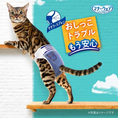 マナーウェア ねこ用 猫用おむつ Mサイズ(36枚入)【マナーウエア】
