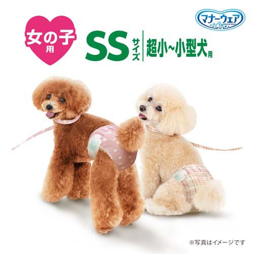 マナーウェア女の子用SSモーヴピンクドット・ピンクチェック(38枚入*8袋)【dog_sheets】【wd225_spu】【マナーウェア】 3