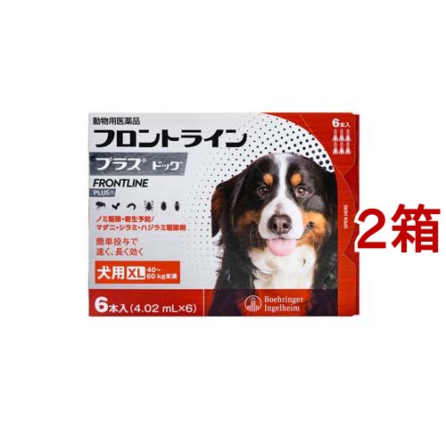 【動物用医薬品】フロントラインプラス 犬用 XL 40～60kg未満(6本入*2箱セット)【fr_cp】【フロントラインプラス】