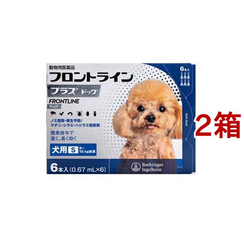 【動物用医薬品】フロントラインプラス 犬用 S 5 10kg未満 6本入*2箱セット 【fr_cp】【フロントラインプラス】