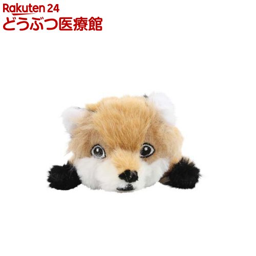 ユーゴー フォレストフォックス